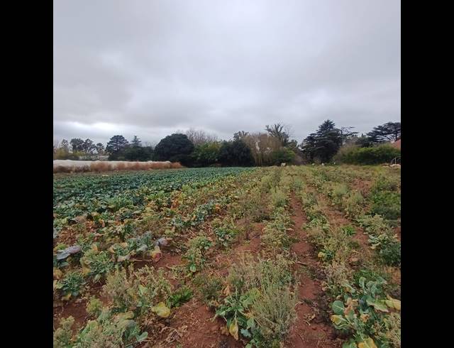 4,064M² VACANT LAND FOR SALE IN HENLEY ON KLIP